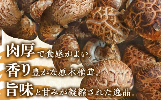 ひじかわの原木生椎茸 約1kg