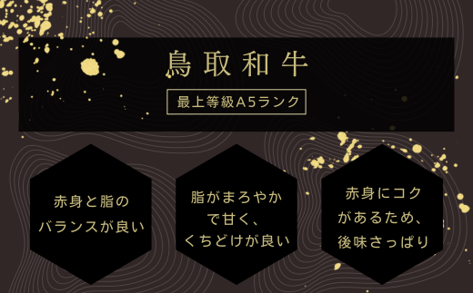 鳥取県日吉津村のふるさと納税 KA08：A5等級！鳥取和牛　超希少部位シャトーブリアン