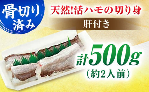 美味しい魚介類を食卓に！地元鮮魚厳選！活きハモの骨切り 2人前（約500g）