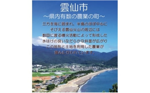 長崎県雲仙市のふるさと納税 【期間限定発送】 みかん 季節のみかんセット 12kg（4kg×3箱） [森崎果樹園 長崎県 雲仙市 item1341] みかん 果物 くだもの ミカン セット 12キロ 期間限定