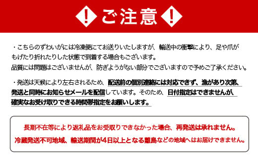 北海道森町のふるさと納税 【訳あり】浜茹でオオズワイガニ 3.0kg 詰め込みセット 北海道噴火湾産 ＜道産ネットミツハシ＞ かに カニ 蟹 がに 北海道 森町 ふるさと納税 mr1-0477