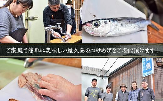 鹿児島県屋久島町のふるさと納税 屋久島 魚すりみ 360g×4パック＜屋久島名産のトビウオ使用＞