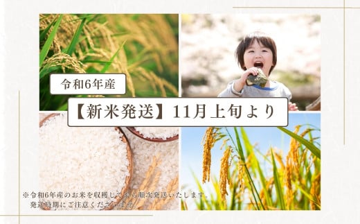 福島県田村市のふるさと納税 【新米】 ＼ 先行予約 ／ コシヒカリ 10kg 令和6年産 稲穂付き 紙袋 11月お届け 米　先行予約 こめ コメ 10キロ 福島県産米 田村市 人気 ランキング おすすめ 初物 お歳暮 ギフト 故郷 ほりこしフォーライフ