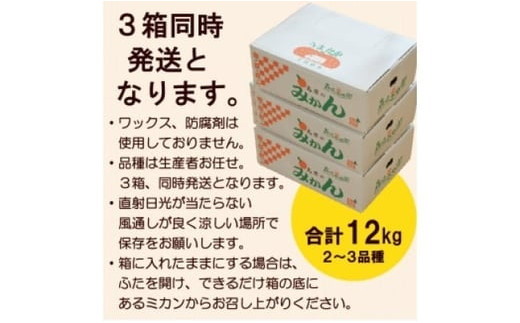 長崎県雲仙市のふるさと納税 【期間限定発送】 みかん 季節のみかんセット 12kg（4kg×3箱） [森崎果樹園 長崎県 雲仙市 item1341] みかん 果物 くだもの ミカン セット 12キロ 期間限定