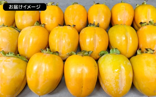 ※お届けイメージ