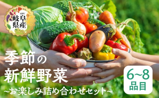 季節の野菜セットA 6～8品目 品目おまかせ BBQ 春 夏 秋 冬 野菜 料理 自宅用 岐阜県産 本巣市 新鮮 やさい 数量限定 冷蔵 道の駅 織部の里  1425279 - 岐阜県本巣市