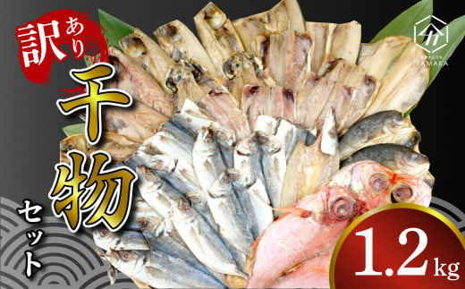 訳あり 干物 詰め合わせ 1.2kg セット 沼津からお届け アジ ホッケ サバ カマス 金目鯛 冷凍 ひもの