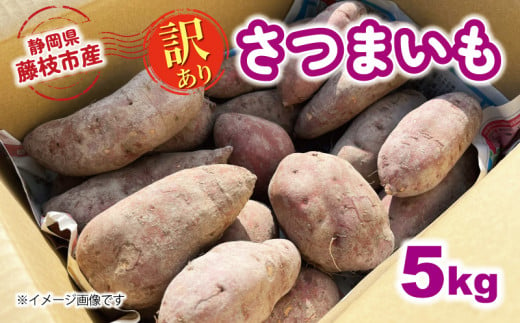 【先行予約：2024年11月中旬～2025年2月末発送予定】訳あり さつまいも 5kg 安納芋 紅はるか シルクスイート 栽培期間中 化学肥料 農薬 不使用 訳あり品 野菜 芋 サツマイモ 焼き芋 旬 季節限定 期間限定 出荷：2024年11月中旬～ 静岡県 藤枝市 