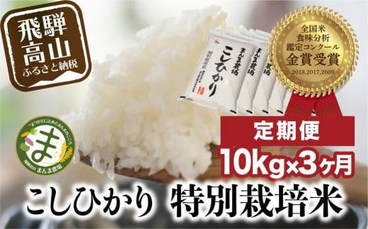 【定期便 3ヶ月】（全3回）お米 飛騨こしひかり 10kg | コシヒカリ 特別栽培米 飛騨高山 まんま農場 LT102 586341 - 岐阜県高山市