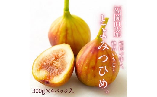 【2025年9月下旬より順次発送】福岡県産 とよみつ姫 約1.2kg以上(約300g×4パック入り) うまうまもぐもぐ