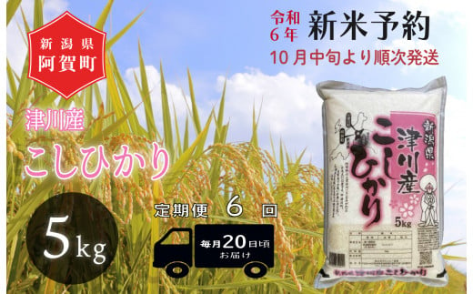 《令和6年産米》【定期便】6回　津川産　こしひかり　5kg（1袋） 1427196 - 新潟県阿賀町