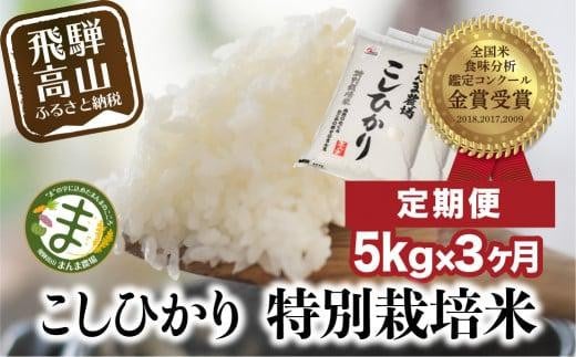 【定期便 3ヶ月】（全3回）米 飛騨こしひかり 5kg | コシヒカリ 特別栽培米 飛騨高山 まんま農場 LT100 586340 - 岐阜県高山市