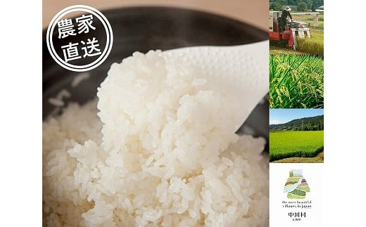 信州産コシヒカリ「桃つや米」5㎏ 724246 - 長野県中川村