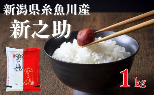 【令和6年産新米予約】新之助 1kg 早川の清流が育んだ美味しいお米 新潟県糸魚川産 2024年磯貝農場【しんのすけ 米 お米 こめ ご飯 ライス ふるさと納税米 食品 人気 おすすめ お弁当 おにぎり ギフト 新潟県の新しいブランド米 農家直送 1キロ 精米 先行予約】