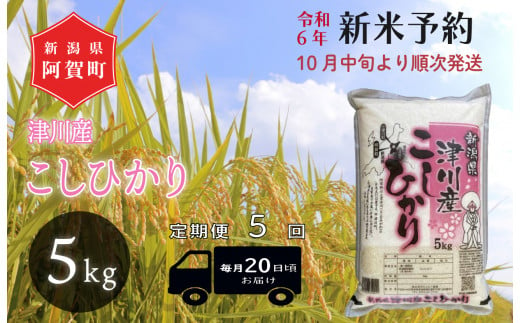 《令和6年産米》【定期便】5回　津川産　こしひかり　5kg（1袋） 1426977 - 新潟県阿賀町