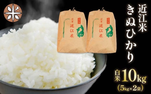 令和6年産 新米 白米 10㎏ キヌヒカリ 5kg × 2袋 精米 近江米 きぬひかり 国産 お米 米 おこめ ごはん ご飯 白飯 しろめし こめ ゴハン 御飯 滋賀県産 竜王 ふるさと ランキング 人気 おすすめ 1001760 - 滋賀県竜王町