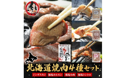 十勝 ジンギスカン&焼肉3種セット 各1パック 手切り羊肉 ホルモン トントロ 鶏塩 北海道 帯広市【1501769】 1428840 - 北海道帯広市