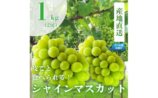 山梨県南アルプス市のふるさと納税 お礼の品ランキング【ふるさとチョイス】