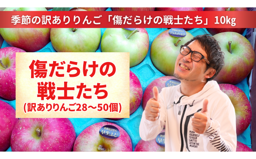 先行予約【訳あり品】傷だらけの戦士たち 季節のりんご MIX 10kg 【 りんご 品種 おまかせ 旬 お届け 岩手 陸前高田  】2024.10月以降発送予定 - 岩手県陸前高田市｜ふるさとチョイス - ふるさと納税サイト