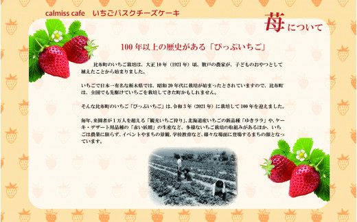 北海道比布町のふるさと納税 いちごバスクチーズケーキ