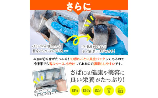 大分県佐伯市のふるさと納税 訳あり・さば 切り身(総計約1.2kg・30切)訳あり さば 切り身 セット 冷凍 国産 切身 魚 海鮮 おかず 骨抜き 骨なし 骨取り 個包装 鯖 惣菜 簡単調理 無塩 フライ 塩焼き 味噌煮 大分県 佐伯市【AQ88】【(株)やまろ渡邉】