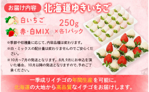 【北海道産】ゆきいちご（ゆきぼたん/すず）白×ＭＩＸ 2Ｐセット 各250g×2 計500g