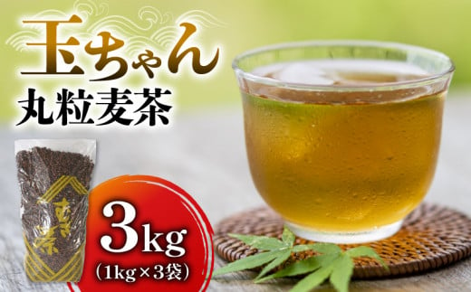 麦茶 玉ちゃん 丸粒麦茶 1kg 入れ 3袋 お茶 焙煎 飲料  むぎ茶 煮出し 八木音 静岡県 藤枝市 1438881 - 静岡県藤枝市