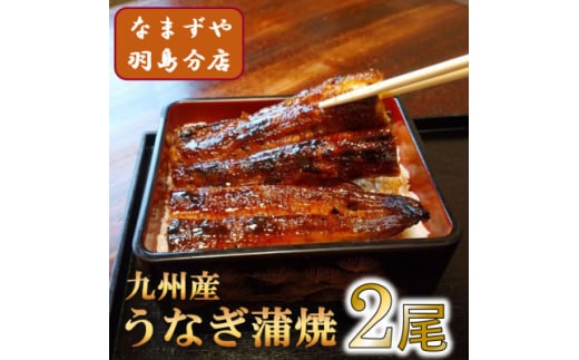 九州産うなぎ蒲焼　2尾〈計約240g〉【1533660】