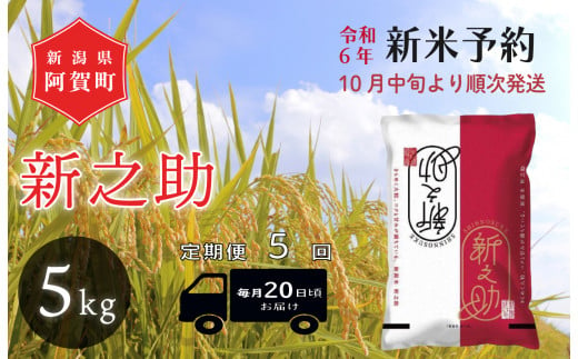 《令和6年産米》【定期便】5回　津川産　新之助　5kg（1袋） 1427623 - 新潟県阿賀町