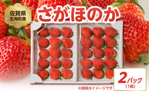 予約受付★[内容量選べる]渡邉農園 佐賀県玄海町産「さがほのか」2025年1月〜4月までに順次配送 / 送料無料 さがほのか 苺 いちご イチゴ 希少 果物 くだもの フルーツ デザート 旬 1月配送 順次配送 予約受付