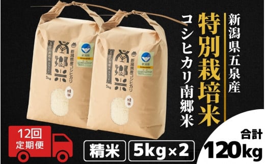 【令和6年産新米先行予約】 〈12回定期便〉 特別栽培米コシヒカリ100％ 「南郷米」 精米 10kg（5kg×2袋）新潟県 五泉市 有限会社ファームみなみの郷  ［2024年9月中旬以降順次発送］ 1430670 - 新潟県五泉市