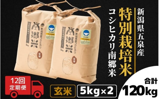 【令和6年産新米先行予約】 〈12回定期便〉 特別栽培米コシヒカリ 「南郷米」 玄米10kg（5kg×2袋）新潟県 五泉市 有限会社ファームみなみの郷  ［2024年9月中旬以降順次発送］ 1430676 - 新潟県五泉市