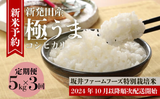 【5kg×3か月】 令和6年産 先行予約 新潟 特別栽培米コシヒカリ 坂井ファーム 【 米 お米 新米 予約 定期便 5kg 15kg 3か月 新潟 新発田 コシヒカリ D72_01Y 】 1221497 - 新潟県新発田市