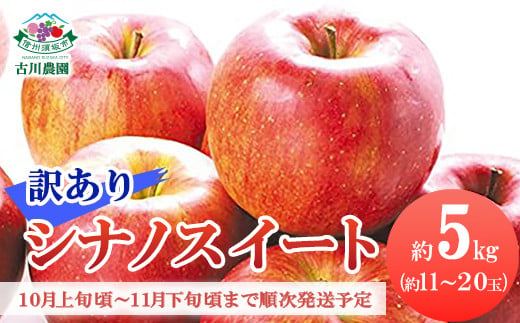 [No.5657-2881]シナノスイート 訳あり家庭用 約5kg (約11～20玉) 《古川農園》■2024年発送■※10月上旬頃～11月下旬頃まで順次発送予定 1060423 - 長野県須坂市