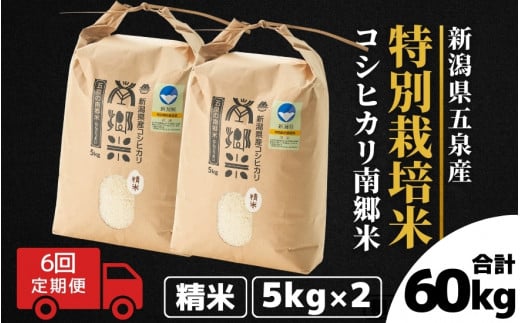 【令和6年産新米先行予約】 〈6回定期便〉 特別栽培米コシヒカリ100％ 「南郷米」 精米 10kg（5kg×2袋）新潟県 五泉市 有限会社ファームみなみの郷  ［2024年9月中旬以降順次発送］ 1430669 - 新潟県五泉市