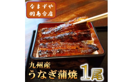 九州産うなぎ蒲焼　1尾〈約120g〉【1533661】