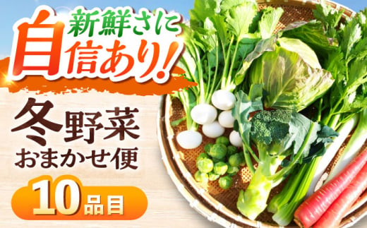 【11月中旬から順次発送】寒い冬の温かな料理に！かとう旬菜畑から直送 冬野菜おまかせ便10種 冬野菜 旬 新鮮 鍋 おうちごはん 　＼レビューキャンペーン中／愛媛県大洲市/かとう旬菜畑 [AGCW001] 1427657 - 愛媛県大洲市