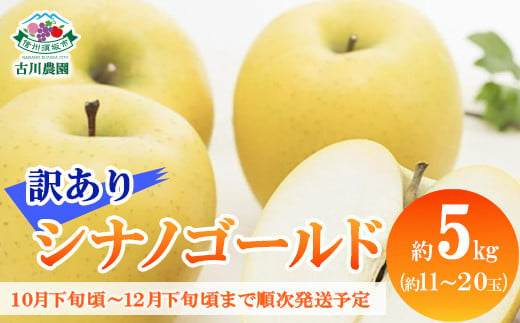 [No.5657-2882]シナノゴールド 訳あり家庭用 約5kg (約11～20玉) 《古川農園》■2024年発送■※10月下旬頃～12月下旬頃まで順次発送予定 1060424 - 長野県須坂市