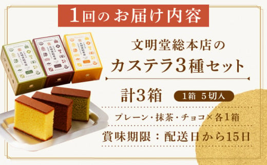 カステラ 長崎 贈答 ギフト 詰め合わせ 人気 和菓子 送料無料 常温 かすてら ざらめ ザラメ 文明堂 個包装 定期 定期便