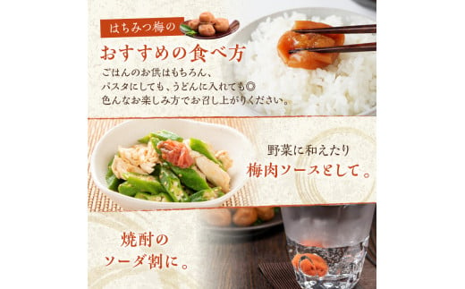 和歌山県御坊市のふるさと納税 紀州南高梅使用 はちみつ梅 ( 塩分8% ) 1.5kg （ 和歌山県産 ） 梅干し うめぼし 完熟梅 甘い 肉厚 はちみつ 蜂蜜 ハチミツ 純国産 塩分補給 熱中症対策 フルーティー  【0458-3】