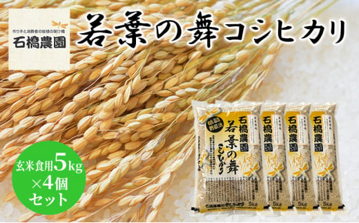 米 若葉の舞 コシヒカリ 玄米食用5Kg×4個セット こしひかり セット お米 玄米 千葉 千葉県 低温保存 [№5346-0835] 1430353 - 千葉県千葉市