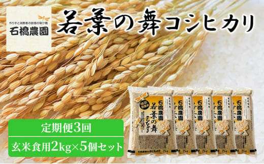 米 若葉の舞 コシヒカリ 玄米食用2Kg×5個セット 定期便3回 こしひかり セット 定期便 お米 玄米 千葉 千葉県 低温保存 [№5346-0853] 1430371 - 千葉県千葉市