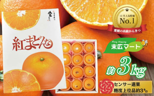 【先行受付：12/10まで】紅まどんな（愛媛県産）【約3キロ(9～15玉入り)化粧箱入り】みかん ミカン まどんな べにまどんな ベニマドンナ えひめ 紅マドンナ 愛媛県産 フツール 果物 くだもの 柑橘 贈答 ギフト プレゼント 高級柑橘 美味しい紅まどんな まつやま かんきつ えひめのフルーツ 愛媛のフルーツ 松山の紅まどんな 愛媛が誇るブランド柑橘 愛媛の紅まどんな 美味しいべにまどんな 597791 - 愛媛県松山市