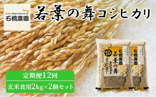 米 若葉の舞 コシヒカリ 玄米食用2Kg×2個セット 定期便12回 こしひかり セット 定期便 お米 玄米 千葉 千葉県 低温保存 [№5346-0885] 1430403 - 千葉県千葉市