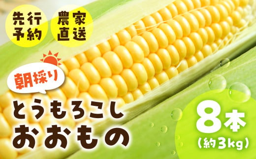 《先行予約》2025年5月～以降発送 とうもろこし 8本 約3kg おおもの オオモノ トウモロコシ 黄色 農園 産地直送 野菜 BBQ バーベキュー 簡易梱包 岐阜県産 本巣市 朝採れ 新鮮 やさい 数量限定 冷蔵 わくわくファーム 令和7年産 1429800 - 岐阜県本巣市