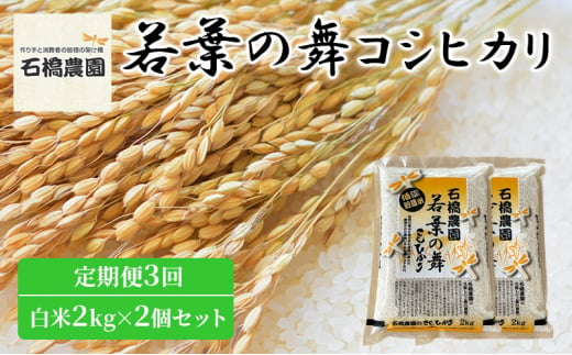 米 若葉の舞 コシヒカリ 白米2Kg×2個セット 定期便3回 こしひかり セット 定期便 お米 白米 精米 千葉 千葉県 低温保存 [№5346-0843] 1430361 - 千葉県千葉市