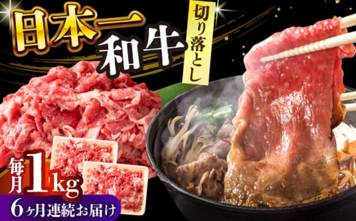 【全6回定期便】【A4～A5】長崎和牛切り落とし　1kg(500g×2p）【株式会社 MEAT PLUS】 [DBS055] 1429849 - 長崎県小値賀町