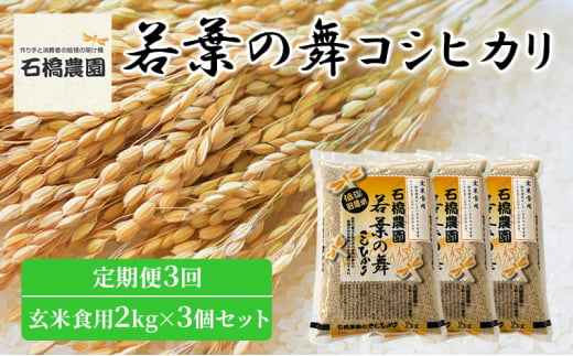 米 若葉の舞 コシヒカリ 玄米食用2Kg×3個セット 定期便3回 こしひかり セット 定期便 お米 玄米 千葉 千葉県 低温保存 [№5346-0851] 1430369 - 千葉県千葉市