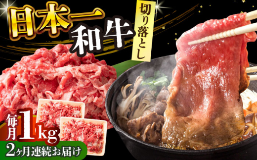 【全2回定期便】【A4～A5】長崎和牛切り落とし　1kg(500g×2p）【株式会社 MEAT PLUS】 [DBS053] 1429847 - 長崎県小値賀町