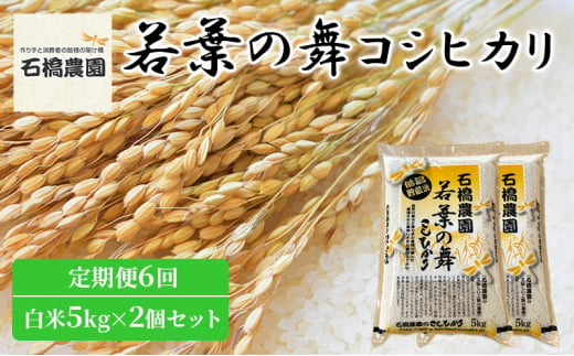 米 若葉の舞 コシヒカリ 白米5Kg×2個セット 定期便6回 こしひかり セット 定期便 お米 白米 精米 千葉 千葉県 低温保存 [№5346-0854] 1430372 - 千葉県千葉市